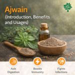अजवाइन: (Ajwain: Introduction, Benefits and Usages)