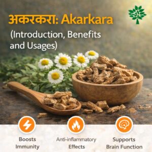 अकरकरा: Akarkara (Introduction, Benefits, and Usages)