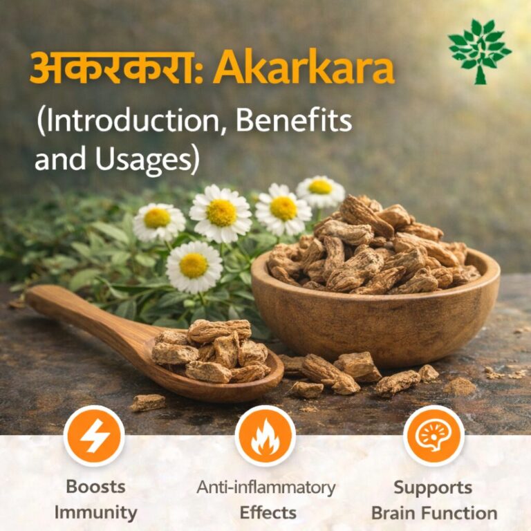 अकरकरा: Akarkara (Introduction, Benefits, and Usages)