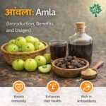 आंवला: Amla (Introduction, Benefits, and Usages)