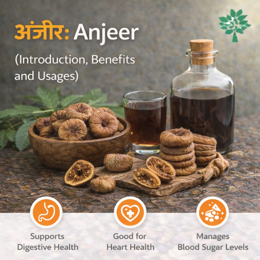 Anjeer (Introduction, Benefits and Usages)