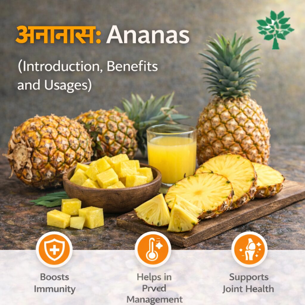Ananas (Introduction, Benefits and Usages)