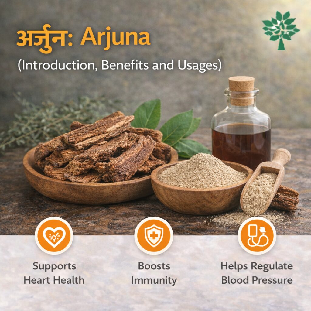 Arjuna: Introduction, Benefits and Usages