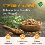 अमलबेधा: Amalbedha (Introduction, Benefits and Usages)